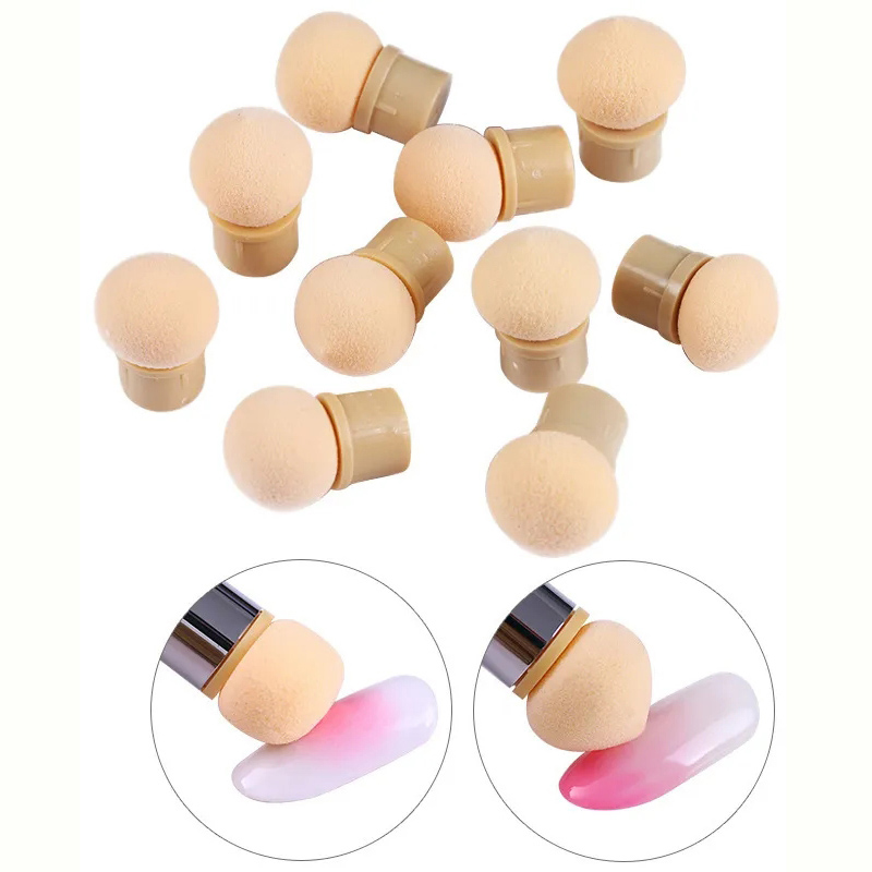 Round Sharp Head Sponge Heads  - Group Head Brush ulasan dan harga
